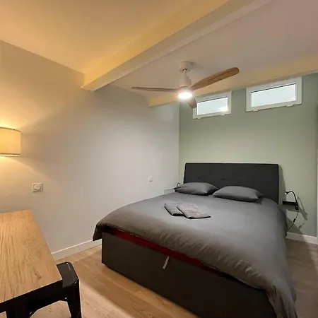 Penitents Gris - 100m Du Capitole - Beau T3 - Parking