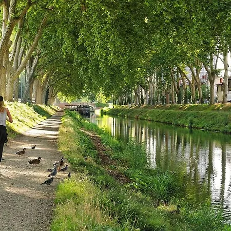 Apartment Penitents Gris - 100m Du Capitole - Beau T3 - Parking *