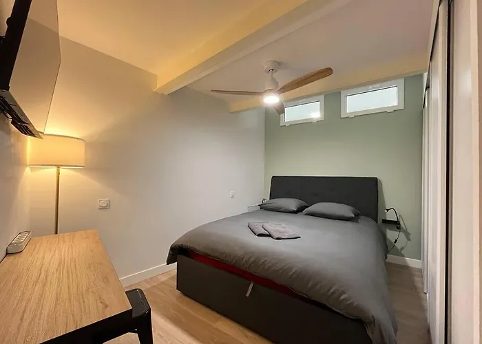 Penitents Gris - 100m Du Capitole - Beau T3 - Parking